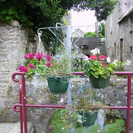 D'hotes Les Clematites En Cotentin 3*