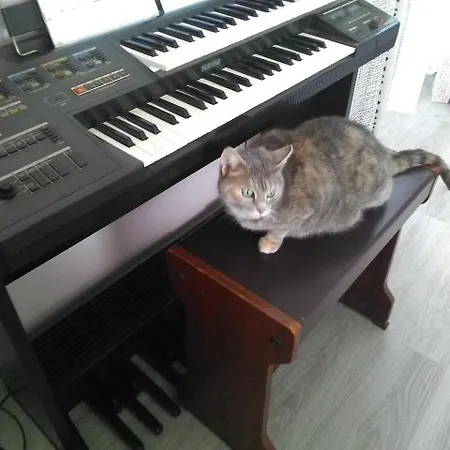 D'hotes Les Clematites En Cotentin Panzió 3*