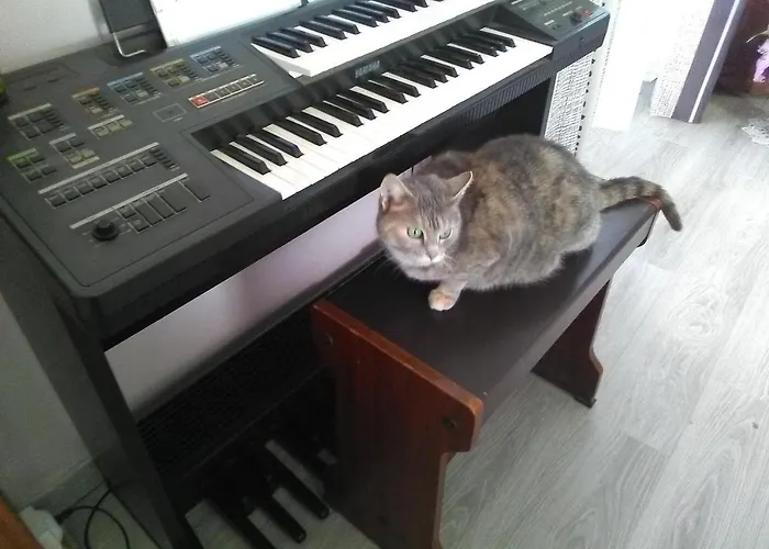 D'hôtes Les Clématites En Cotentin Bed & Breakfast 3*